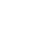 100% Português